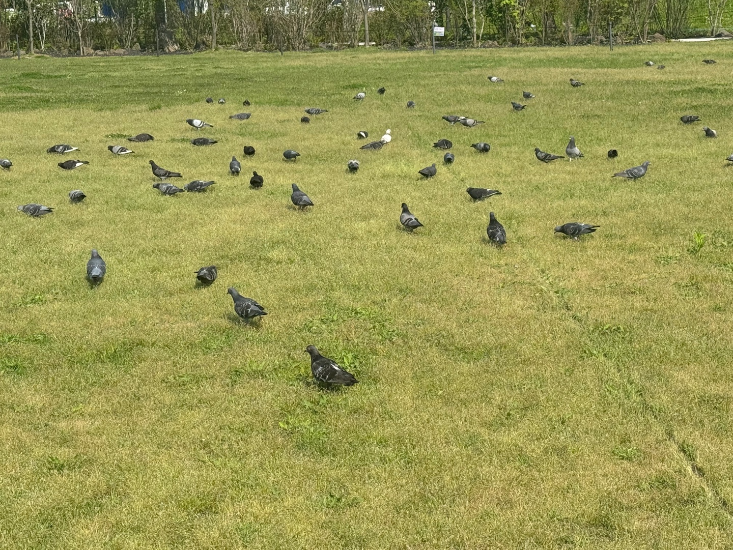 KakaoTalk_20250513_084833540_04