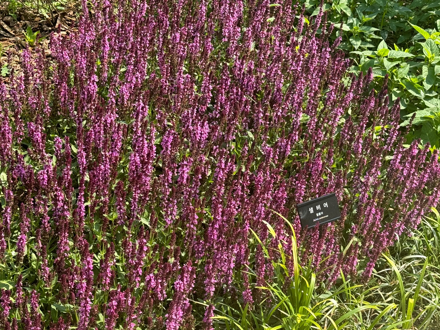 KakaoTalk_20250513_084833540_05