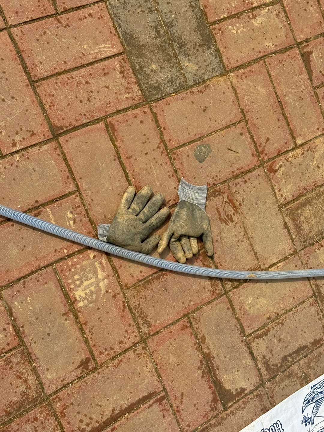 KakaoTalk_20250514_184603509_01