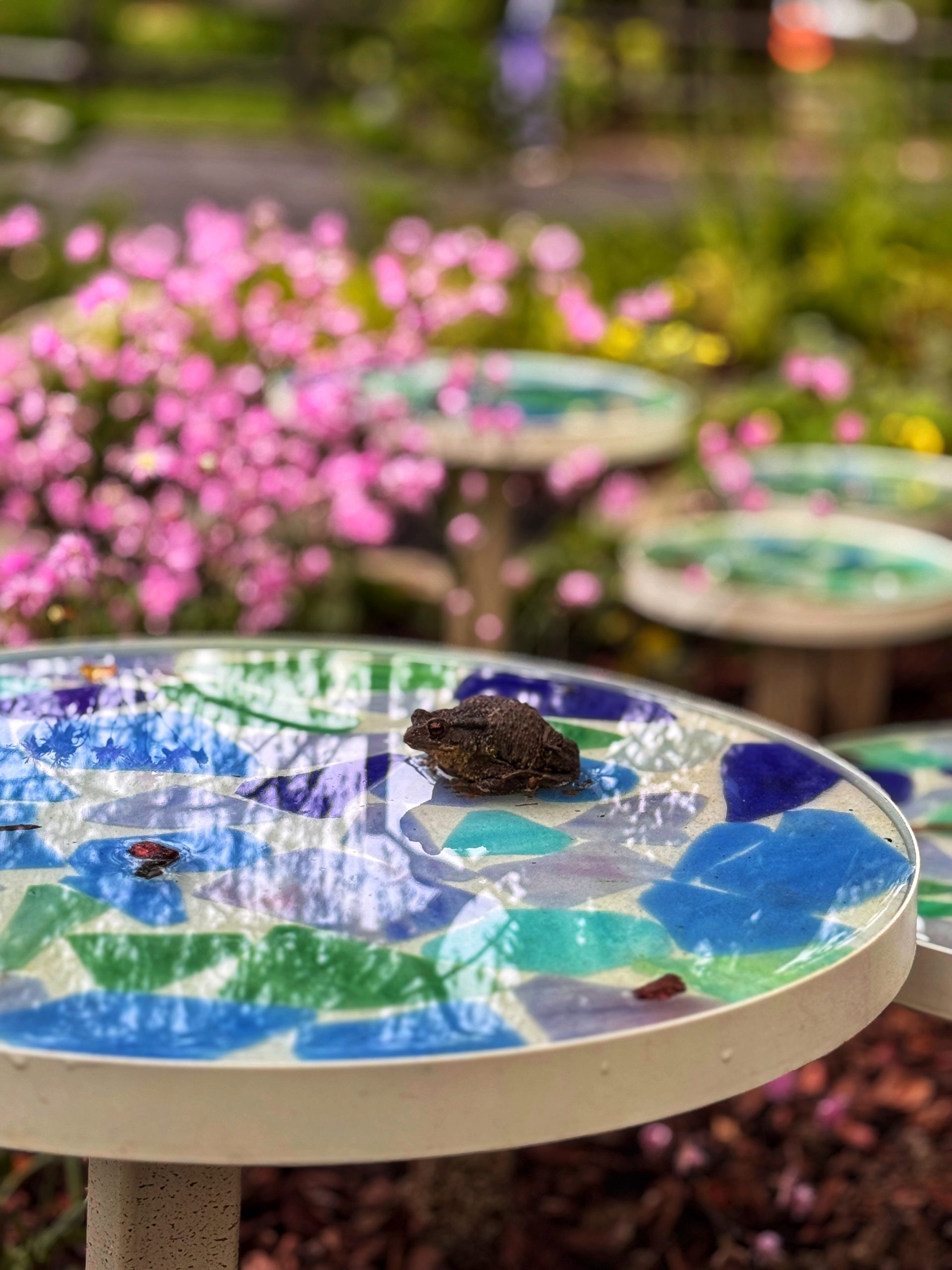 KakaoTalk_20250521_160036574_02