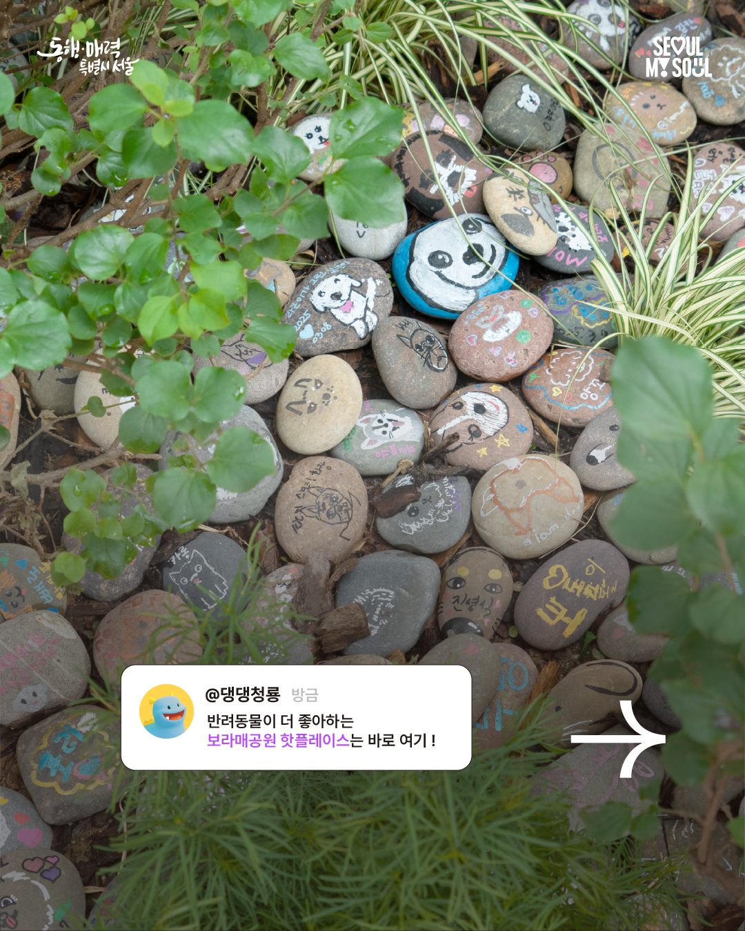 카드뉴스_반려동물 (2)