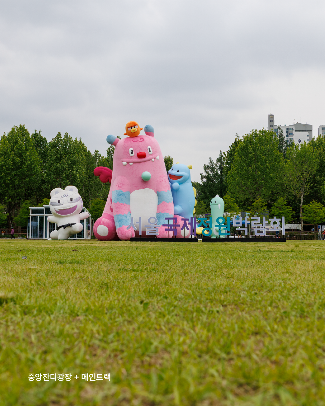 카드뉴스_반려동물 (3)