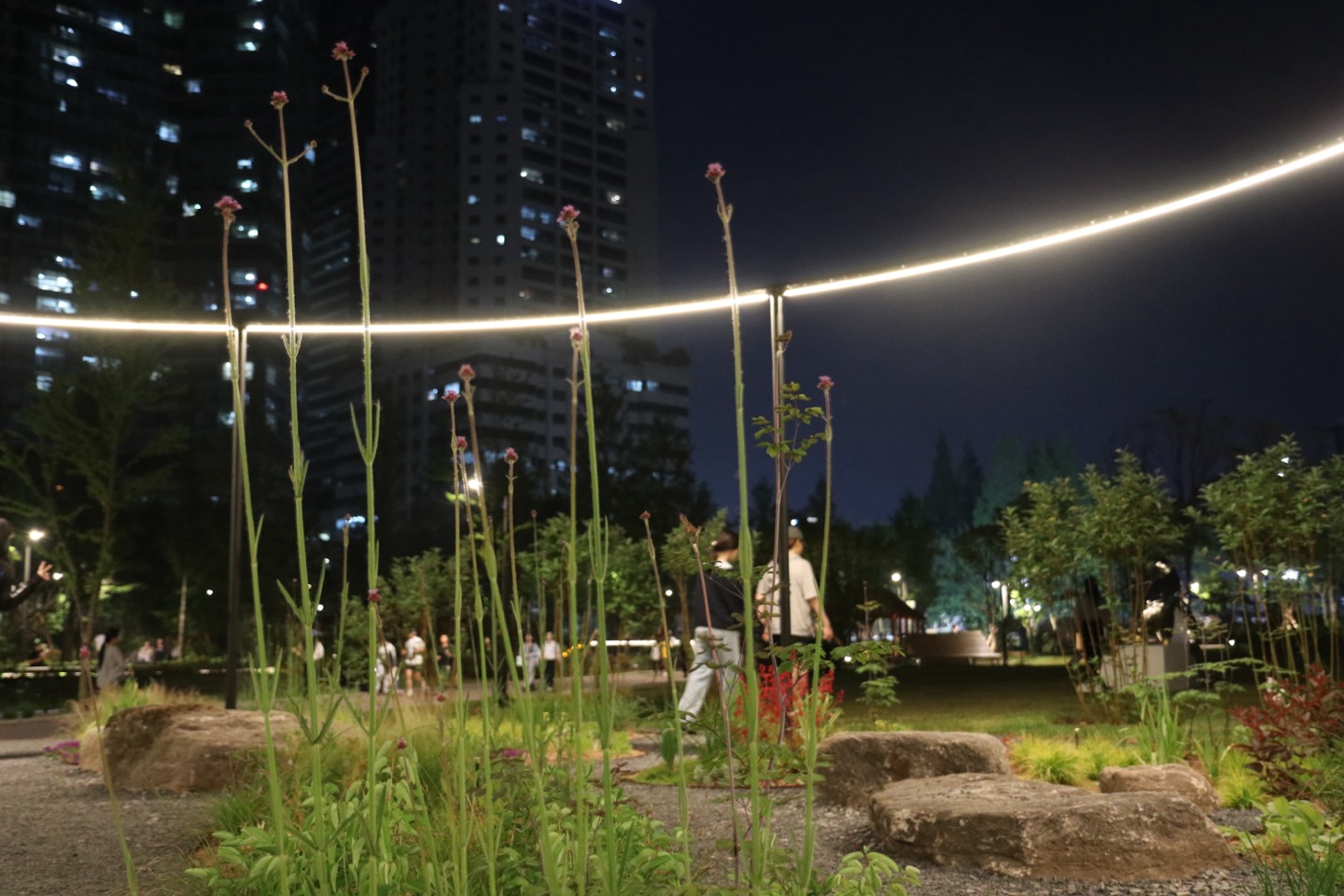 KakaoTalk_20250527_084005452_20