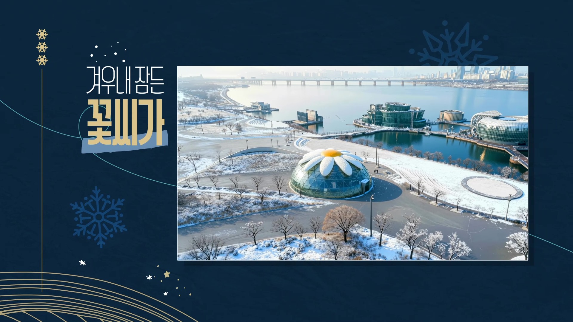 ❄2025 한강페스티벌_겨울❄