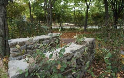 DSC00063