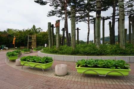 DSC01737
