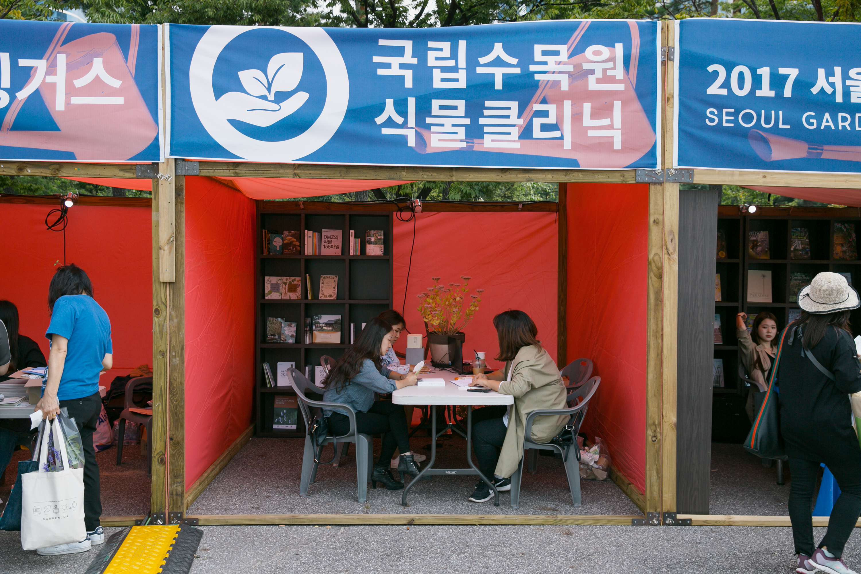식물클리닉