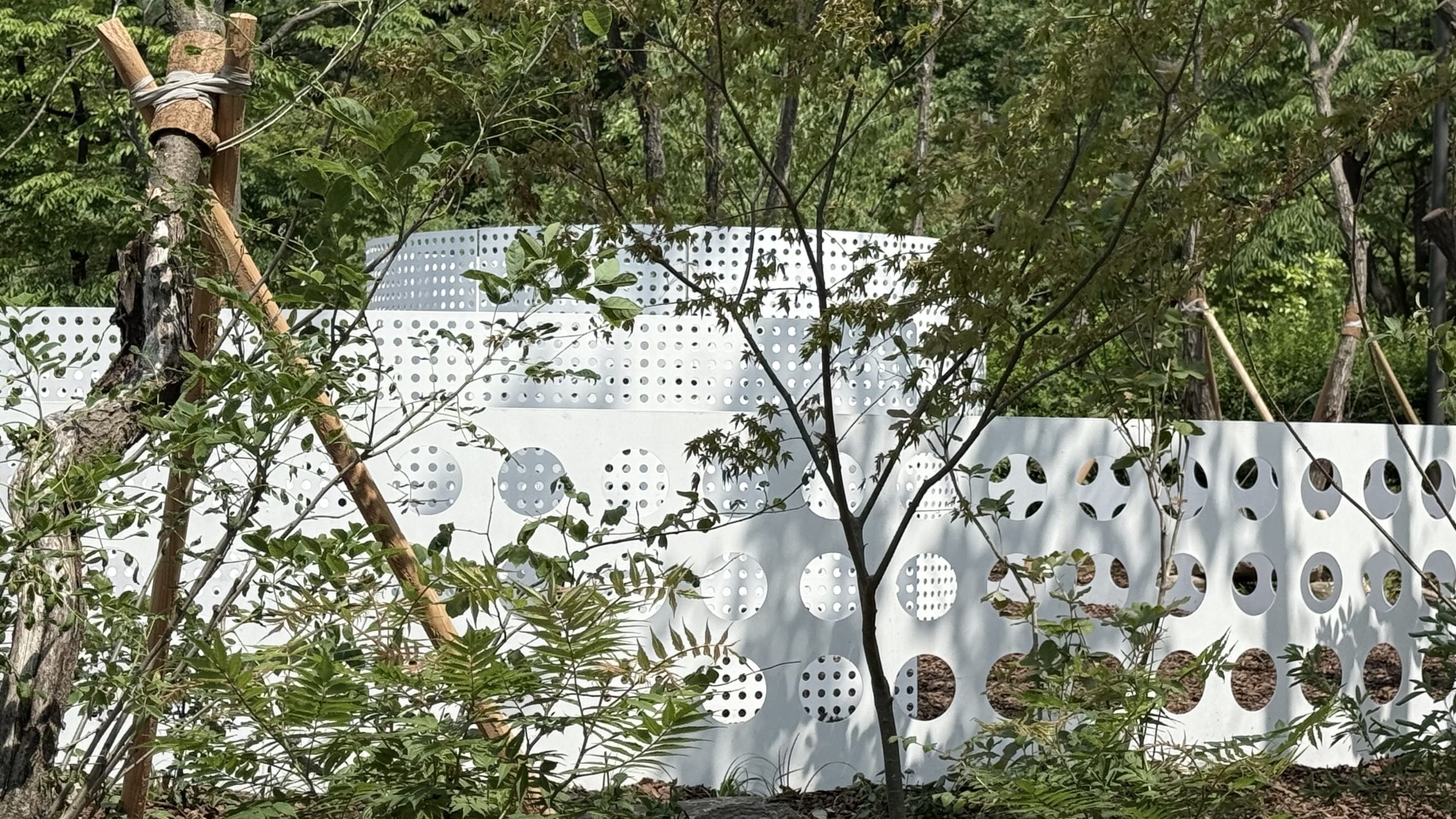 생명의숲