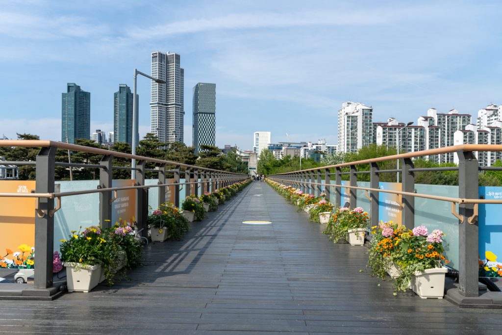 260429_JIINYOO_DSC01842