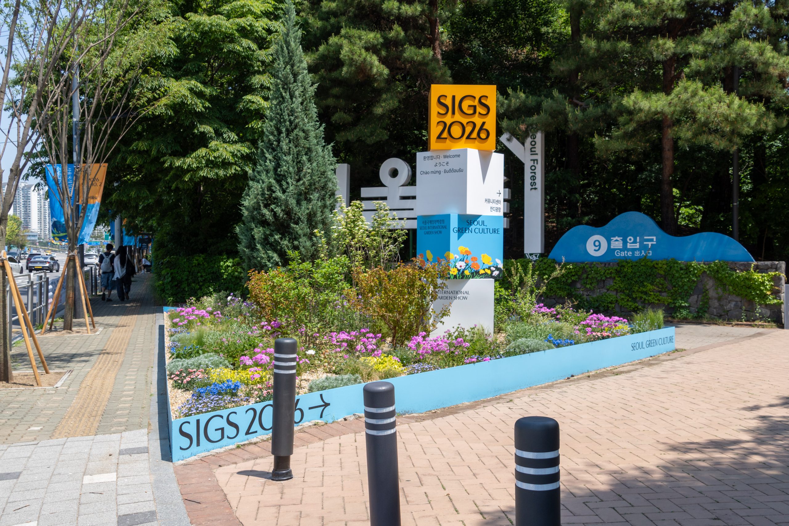 260515_JIINYOO_GCS00008