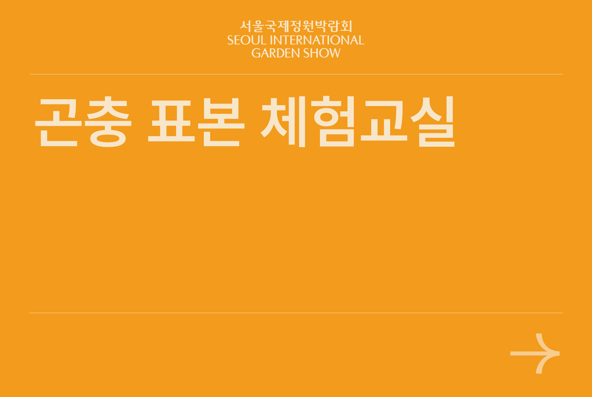 곤충 표본 체험교실