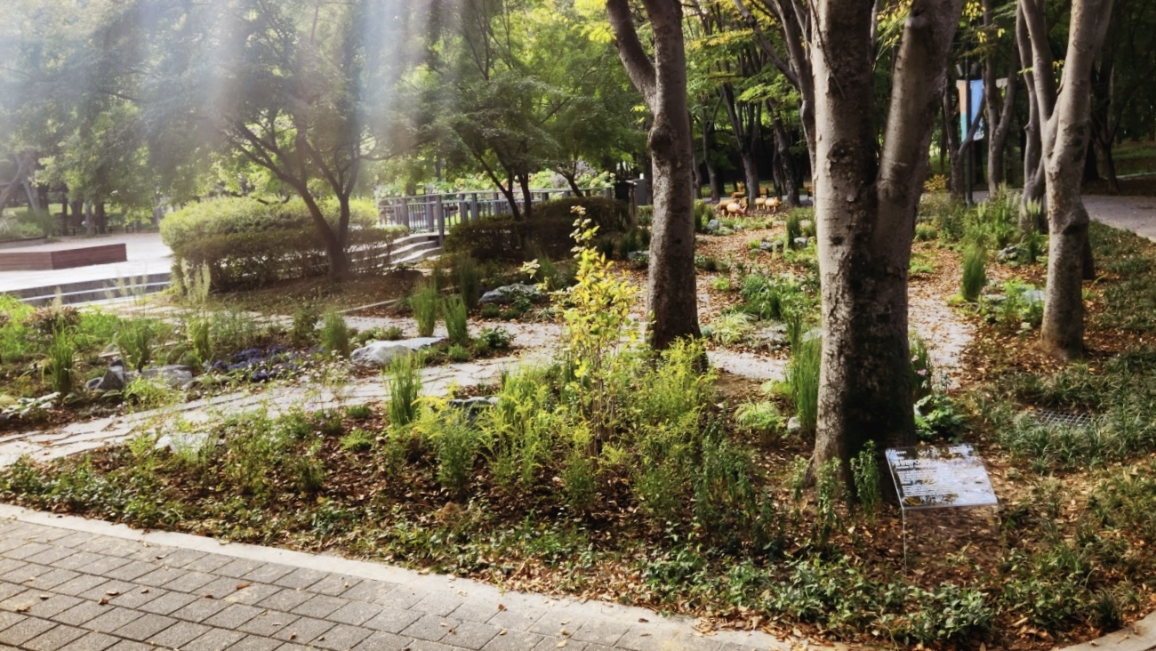 KakaoTalk_20260930_115730363