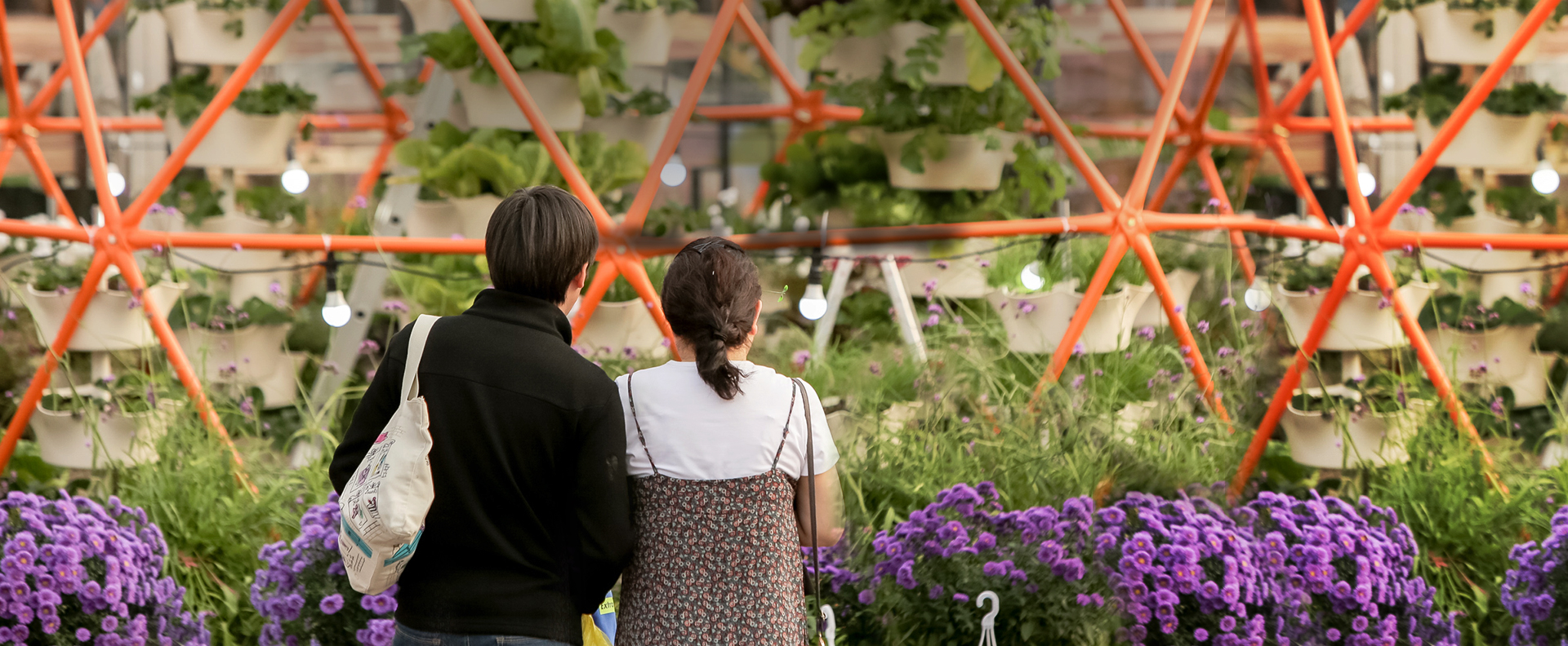 2019서울정원박람회 2019. 10. 3.(수) ~ 10. 9.(화) 7일간, 만리동광장~서울로 7017~백범광장~해방촌 일대