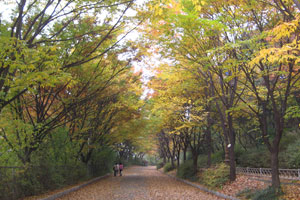 안산 산책로