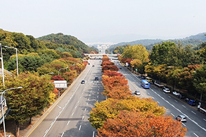 대치1 연결녹지