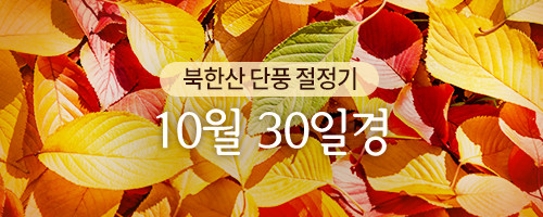 북한산 단풍 절정기 10월 30일