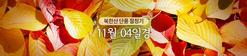 북한산 단풍 절정기 11월 04일경