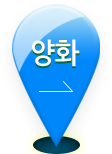 양화