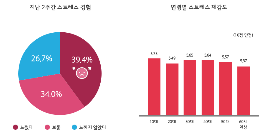 지난 2주간 스트레스 경험도, 연령별 스트레스 체감도