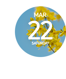 3월22일(토)