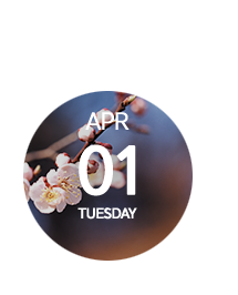 4월1일(화)