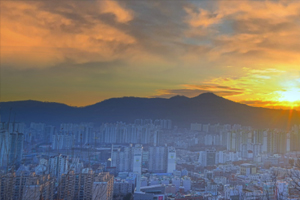 배봉산(정상)