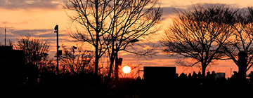 월드컵공원(하늘공원 동측 정상)