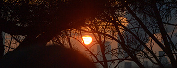 용왕산(근린공원)