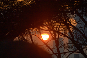 용왕산(근린공원)